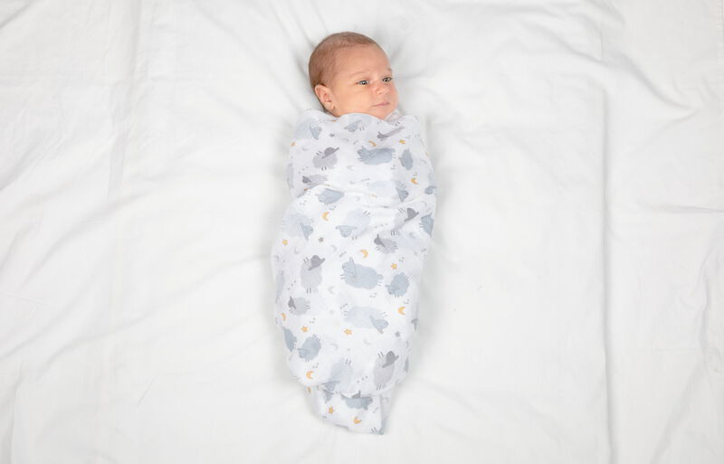 Swaddles Set 2Pcs Bear & Grey Sheep image number 3